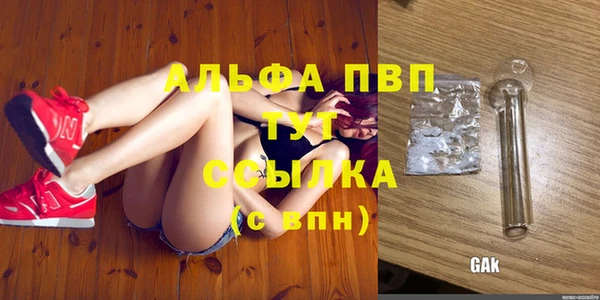 эйфоретик Абинск