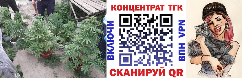 ТГК концентрат Кедровый